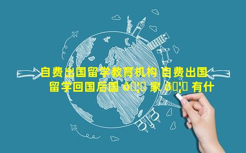 自费出国留学教育机构 自费出国留学回国后国 🦄 家 🦟 有什么待遇